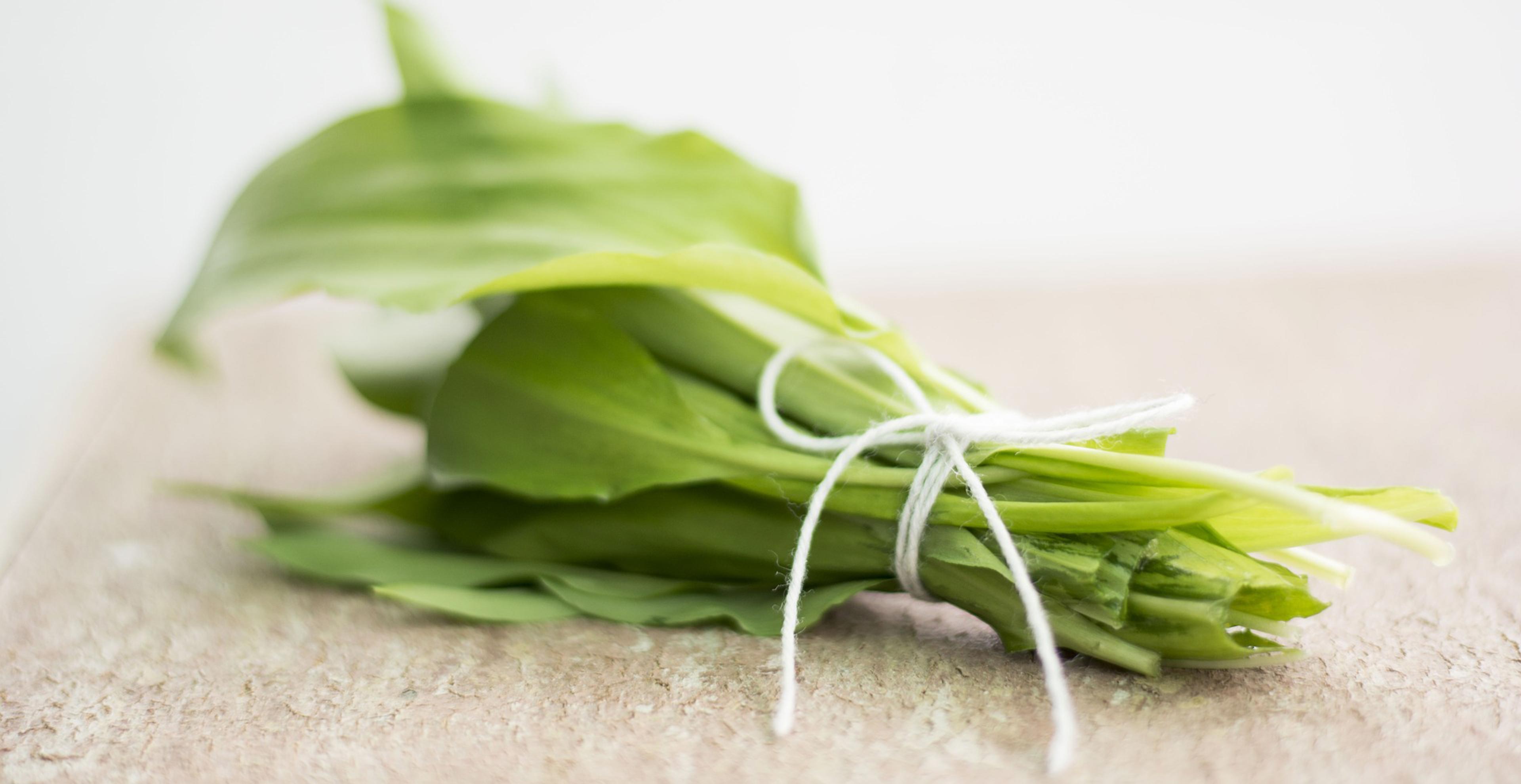 3 BärlauchRezepte für den Frühling Marquardt Küchen